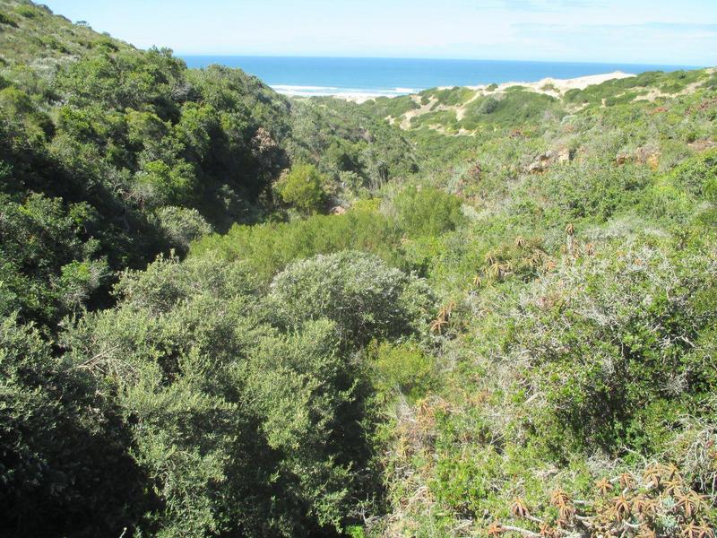 0 Bedroom Property for Sale in Nautilus Bay Western Cape